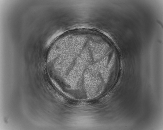 X0000099941359200806131416