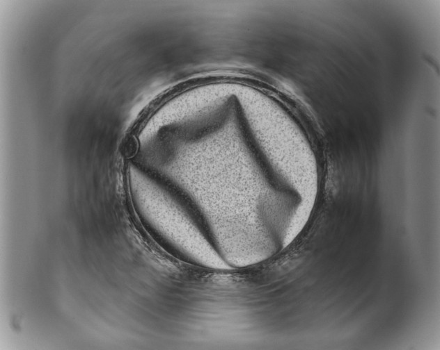 X0000099941360200806131416