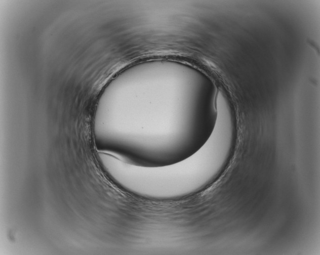 X0000099941361200806131416