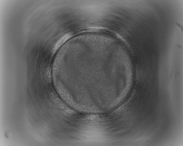 X0000099941362200806131416