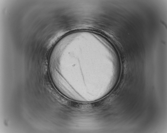 X0000099941363200806131416