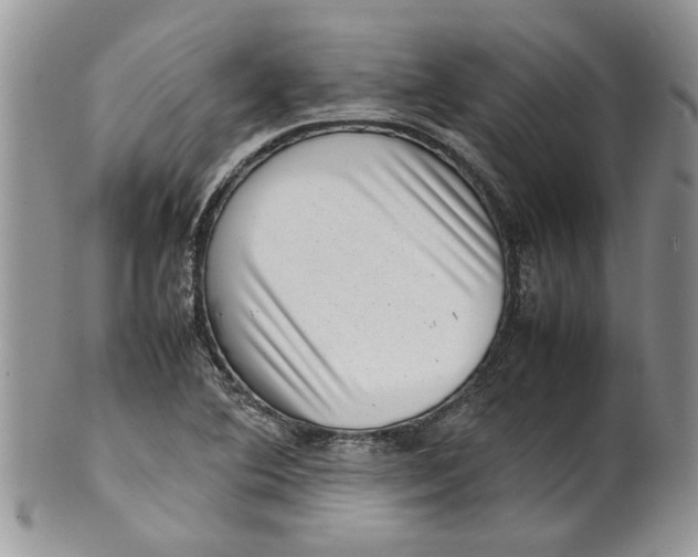 X0000099941364200806131416