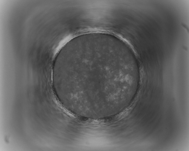 X0000099941365200806131416