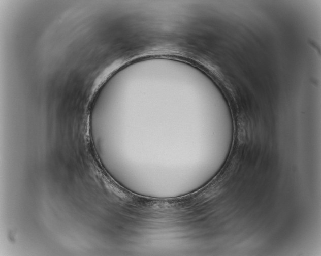 X0000099941366200806131416