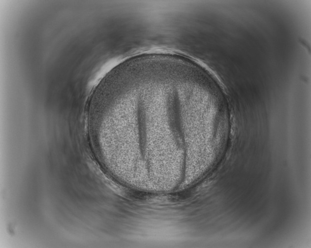 X0000099941367200806131416