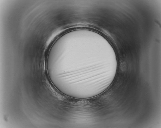 X0000099941368200806131416