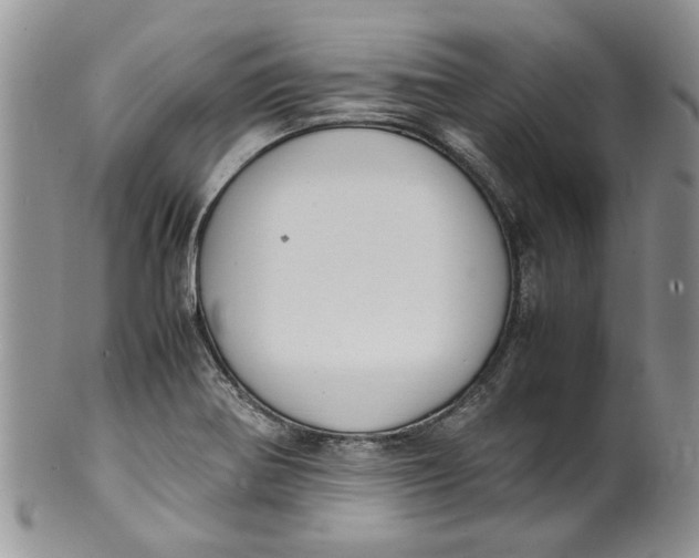 X0000099941370200806131416