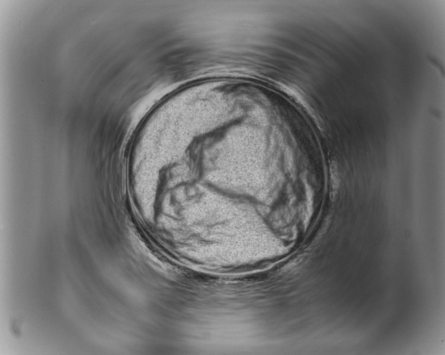 X0000099941371200806131416