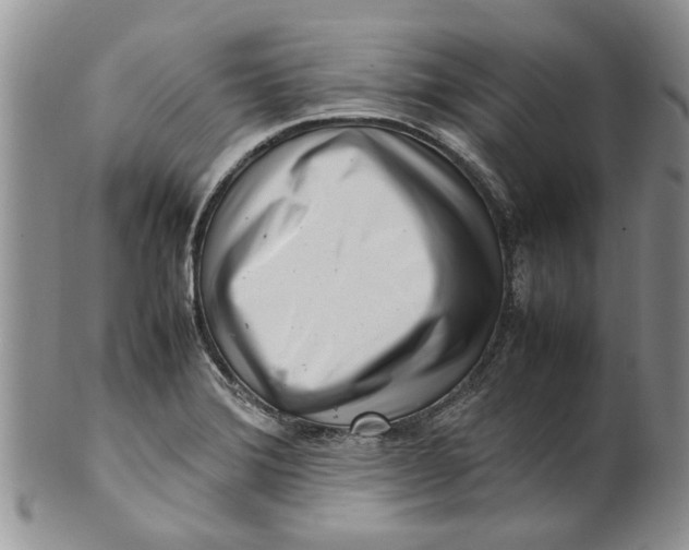 X0000099941372200806131416