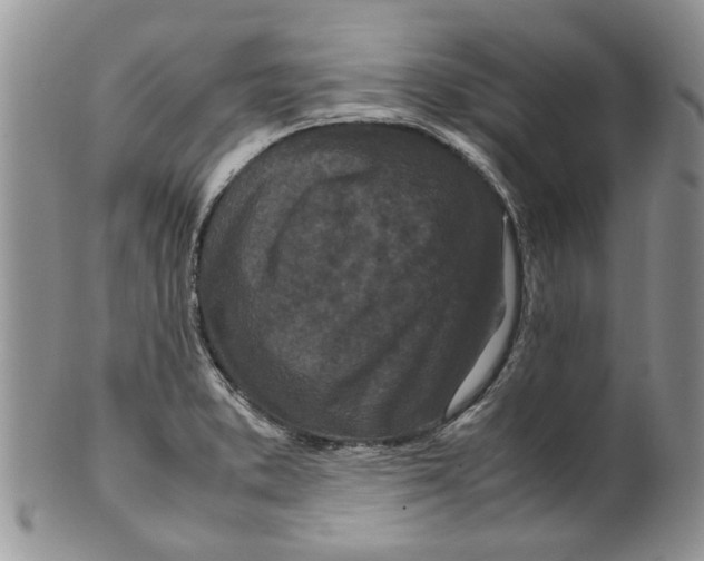 X0000099941373200806131416