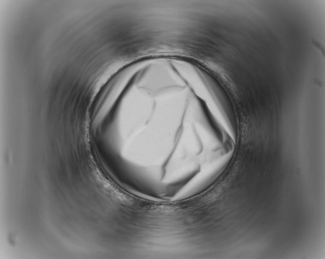 X0000099941374200806131416