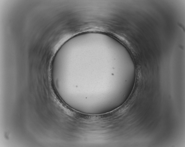 X0000099941375200806131416