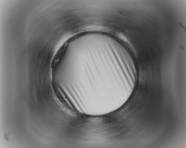 X0000099941376200806131416