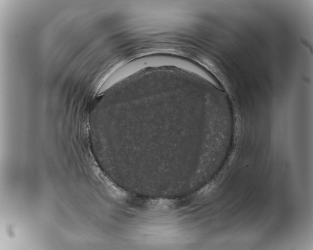 X0000099941377200806131416