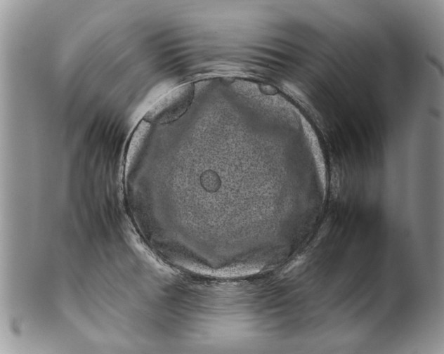 X0000099941378200806131416