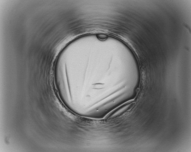 X0000099941379200806131415