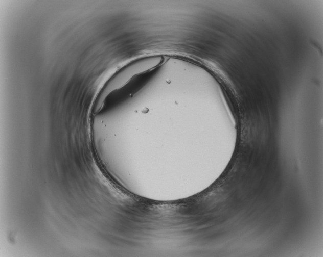 X0000099941380200806131415