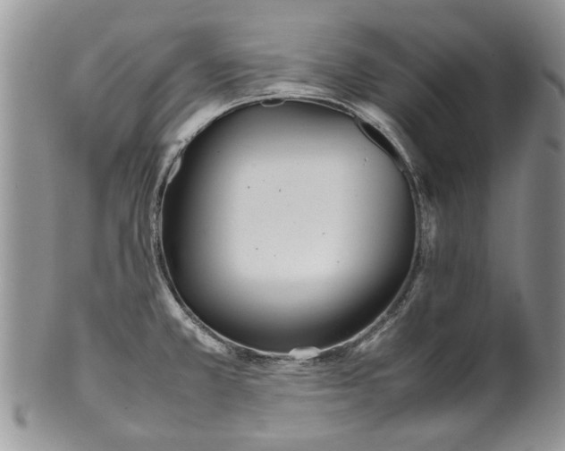 X0000099941381200806131415