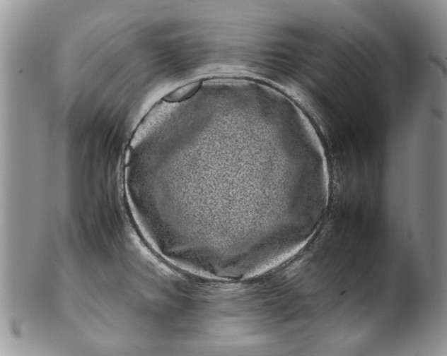 X0000099941382200806131415