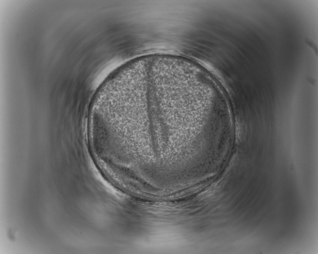 X0000099941383200806131415