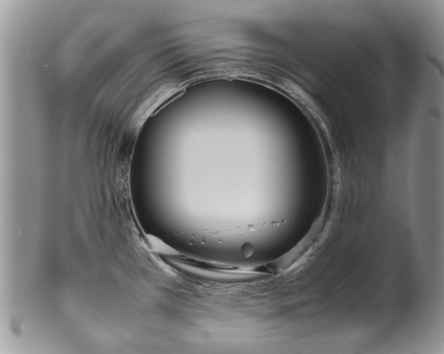 X0000099941385200806131415