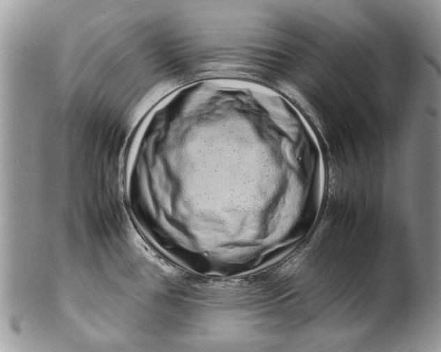 X0000099941386200806131415