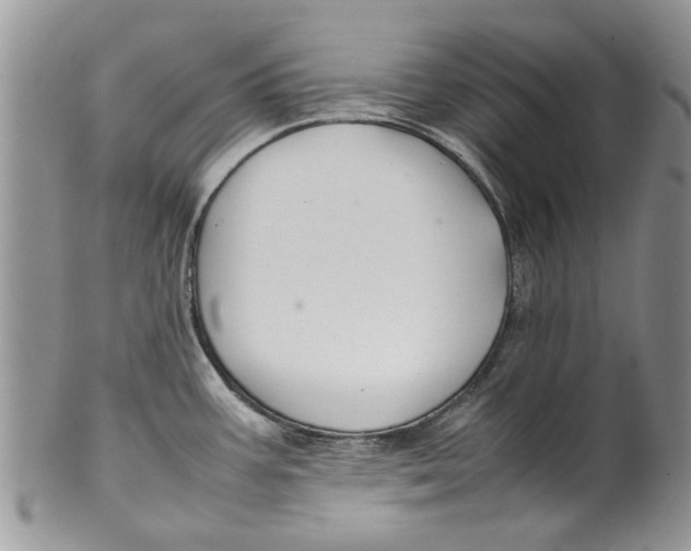 X0000099941387200806131415