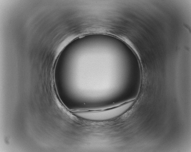 X0000099941389200806131415