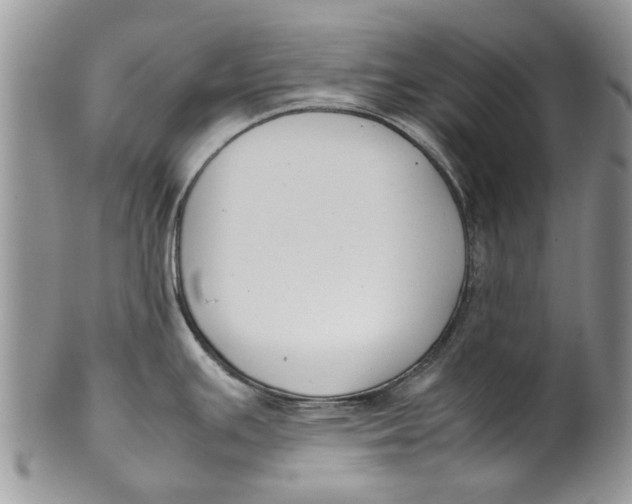 X0000099941391200806131415