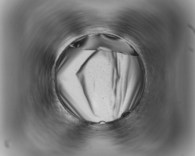 X0000099941392200806131415