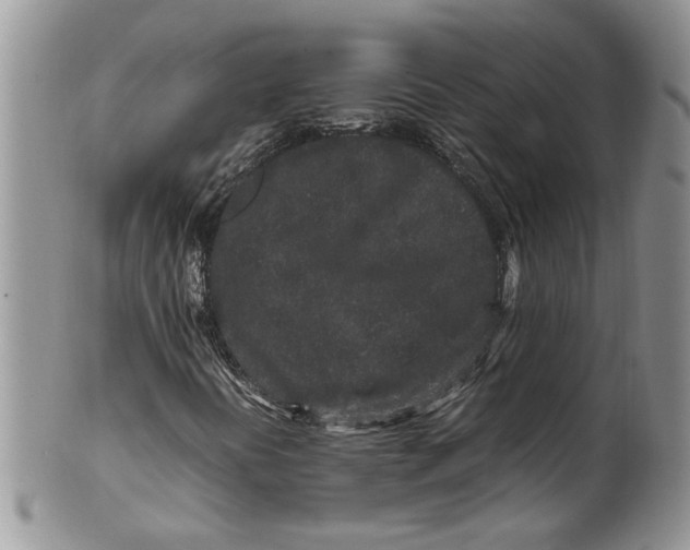 X0000099941394200806131415