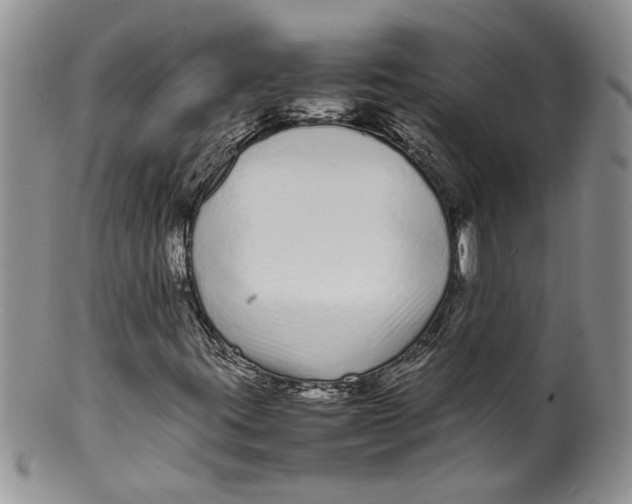 X0000099941395200806131415