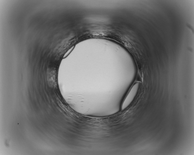 X0000099941396200806131415