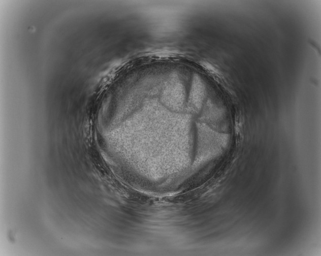 X0000099941398200806131415