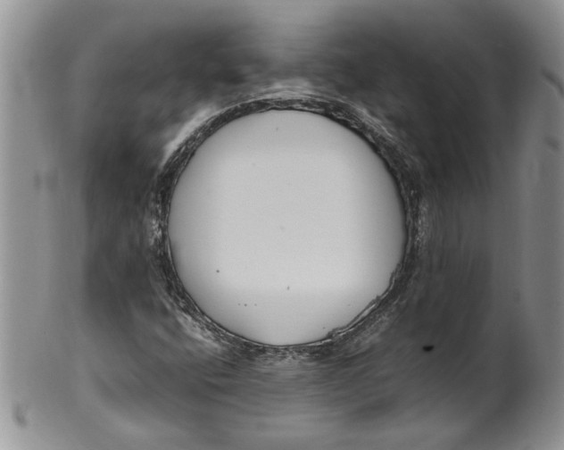 X0000099941400200806131415