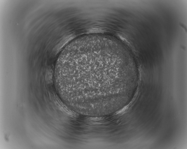 X0000099941401200806131415