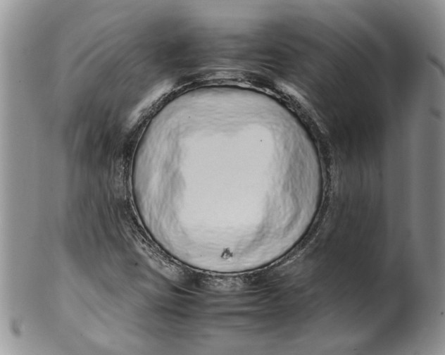 X0000099941403200806131415