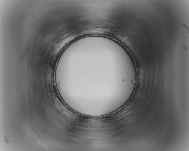 X0000099941404200806131415