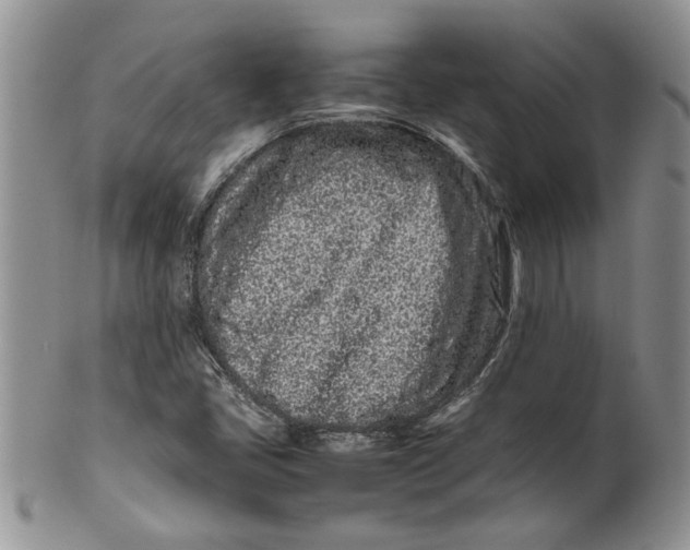 X0000099941405200806131415