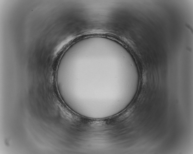 X0000099941406200806131415