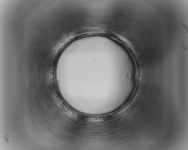 X0000099941407200806131415