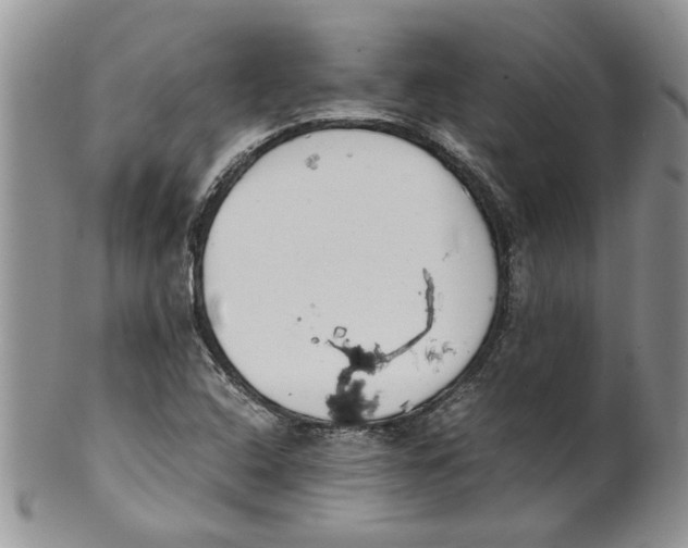 X0000099941408200806131415