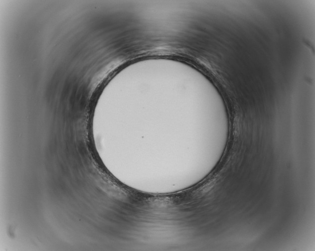 X0000099941410200806131415