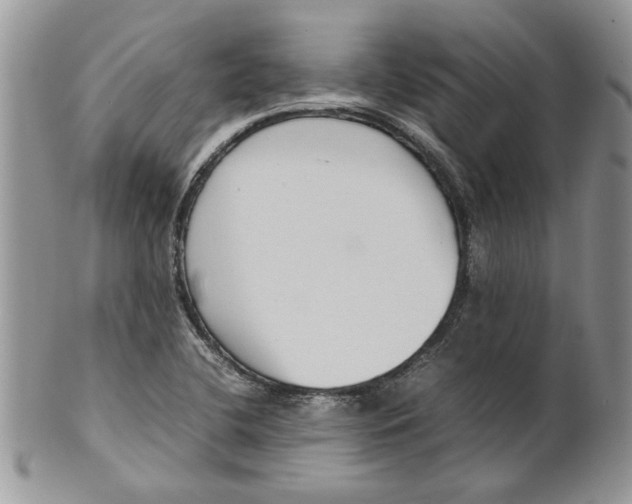 X0000099941412200806131415