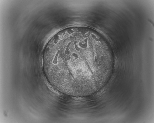 X0000099941413200806131415