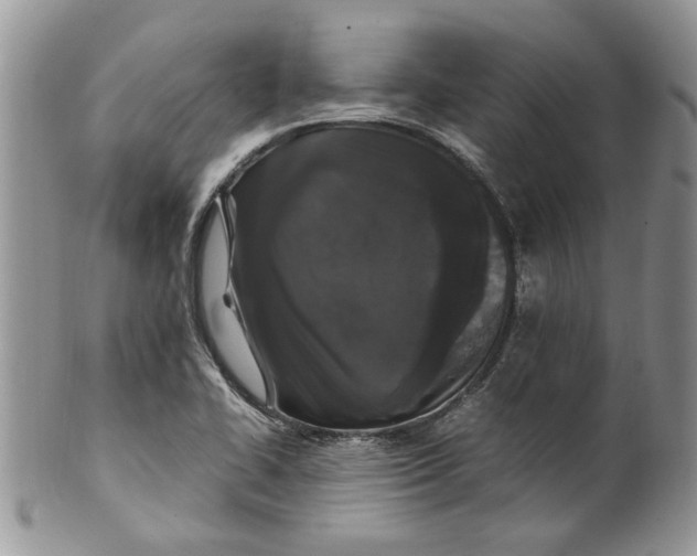 X0000099941414200806131415