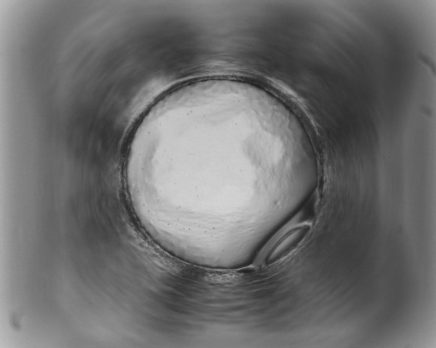 X0000099941415200806131415