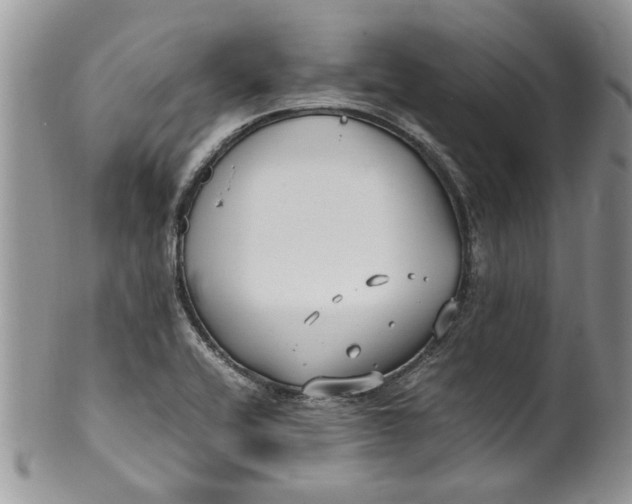 X0000099941416200806131415