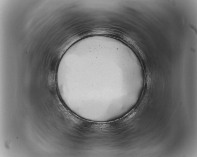 X0000099941417200806131415