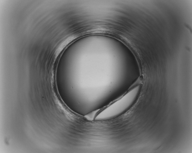 X0000099941418200806131415